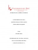 ESTUDIO DE LA EMPRESA ULTRABLOCK