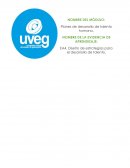 Planes de desarrollo de talento humano