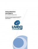 PENSAMIENTO SISTÉMICO EA2.- SISTEMA DE CORRUPCIÓN