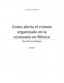 Delincuencia organizada y sus afectaciones económicas en México
