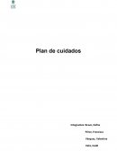 Plan de cuidados enfermeria