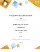 DESARROLLO ACTIVIDAD INDIVIDUAL PSICOLOGÍA EVOLUTIVA