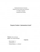 Proyecto Turístico “Latinoamérica Coctel”