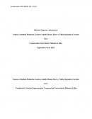 Informe Empresa Automotora