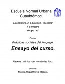 Introducción. ¿Qué son las prácticas sociales del lenguaje?
