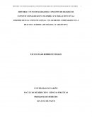 HISTORIA Y FUNCIONALIDAD DEL CONCEPTO DE BLOQUE DE CONSTITUCIONALIDAD EN COLOMBIA Y SU RELACION CON LA JURISPRUDENCIA CONSTITUCIONAL Y EL DERECHO COMPARADO EN LA PRACTICA JURIDICA DE FRANCIA Y ARGENTINA