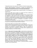 FORMACIÓN SOCIAL BOLIVIANA DE LA FASE DEL ESTADO PLURINACIONAL I