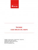 Informe caso mieles del maipo