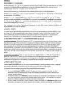 Rev. Industrial- Rev Francesa- Reforma y contrarreforma protestante