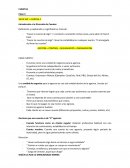 Introducción a la Dirección de Cuentas