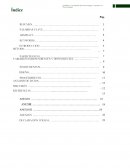 TFG psicología básica