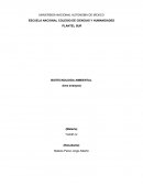 PLANTEL SUR BIOTECNOLOGIA AMBIENTAL