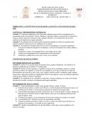 REGLAMENTO DE LA ESCUELA