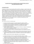 PLANIFICACIÓN ANUAL DE PRÁCTICAS DEL LENGUAJE PARA 1ER. AÑO