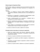 Sistema Integral de Capacitación resumen