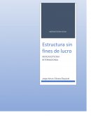 Evidencia de aprendizaje. Estructura sin fines de lucro