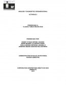 ANÁLISIS Y DIAGNOSTICO ORGANIZACIONAL TERRA VIVA PROYECTOS Y SERVICIOS SAS