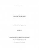 CUESTIONARIO- LECTURA CRÍTICA