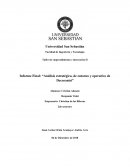 Informe Final: “Análisis estratégico, de entorno y operativo de Decoranisi”