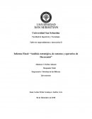 Informe Final: “Análisis estratégico, de entorno y operativo de Decoranisi”