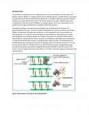 LABORATORIO CEFALEXINA