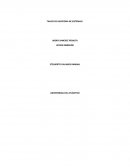 TALLER DE AUDITORíA DE SISTEMAS I