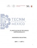 PLANIFICACION DE RECURSOS EMPRESARIALES II