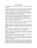 Patrones Nacionales
