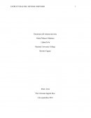 Estructuras del sistema nervioso