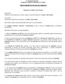 PROCEDIMIENTOS DE SEGURIDAD Maniobras en Media y Alta Tensión