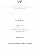 CASO AMÉRICA MÓVIL