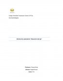 Informe De Laboratorio “Disección del ojo”