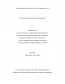 CASO EMPRESA: BIOLÓGICOS Y CONTAMINADOS S.A.S