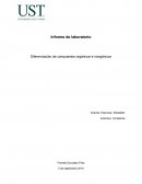 Diferenciación de compuestos orgánicos e inorgánicos