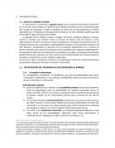 ¿Qué es la agenda futura?