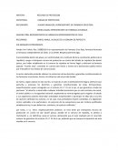 RECURSO DE PROTECCION EJEMPLO