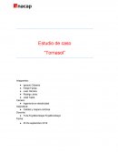 Estudio de caso “Tornasol”