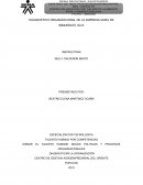 DIAGNOSTICO ORGANIZACIONAL DE LA EMPRESA GURU DE IMMUEBLES .SA.S