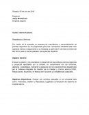 Informe Auditoría SIXPORTS SAS