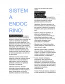 SISTEMA ENDOCRINO