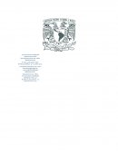 Pedagogia distancia 2019