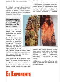 Incendios en el Amazonas: Error humano que condena la biodiversidad y acelera el cambio climático. Página 1