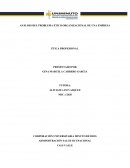 ANÁLISIS DEL PROBLEMA ÉTICO ORGANIZACIONAL DE UNA EMPRESA ÉTICA PROFESIONAL