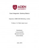 Caso Integrador: Sarkany Básico