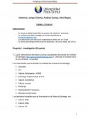 Trabajo – Prueba 2