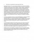 Información de contextualización empresa Aguas Kpital Cúcuta