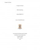 Comprar sin cabeza. Resumen