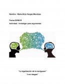 La legalización de la marihuana. Los riesgos