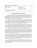 ¿Realmente funciona la democracia en Chile?