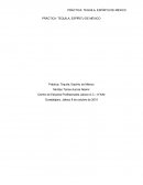 PRÁCTICA: TEQUILA, ESPÍRITU DE MEXICO